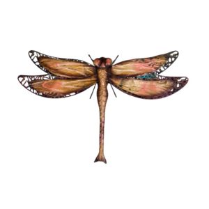 Brown/Green Dragonfly