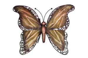 Brown/Green Butterfly