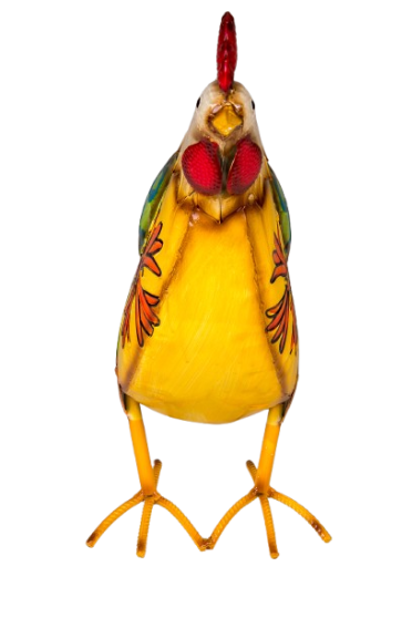 Poultry Hen Yellow - Image 3