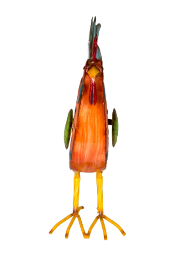 Poultry Rooster Medium - Image 3