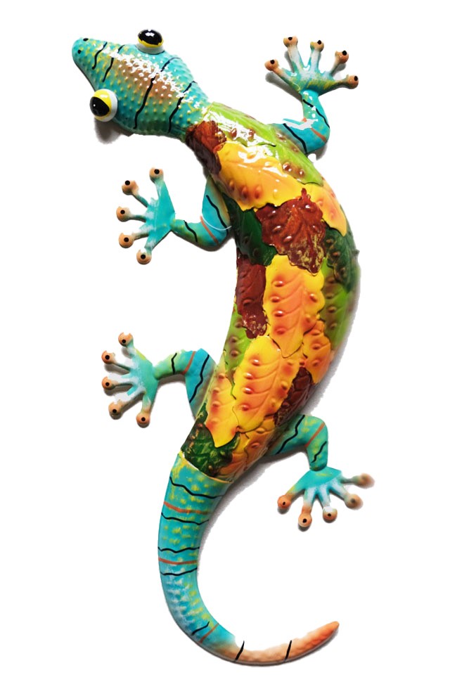 Multicolour Gecko