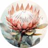 Potstand:  Pink Protea
