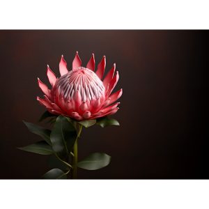 Glass-Cutting-Board-Protea-Black-Back