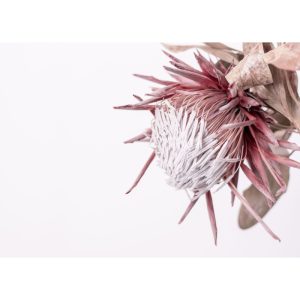 Glass-Cutting-Board-King-Protea-Pink