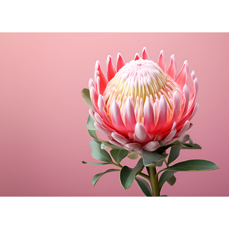 Glass-Cutting-Board-Pink-Protea