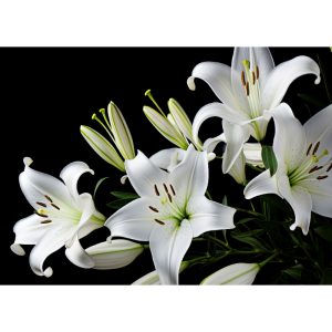 Glass-Cutting-Board-White-Lilies
