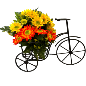 Tricycle Black - NEW