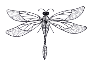 Dragonfly Black - Wire