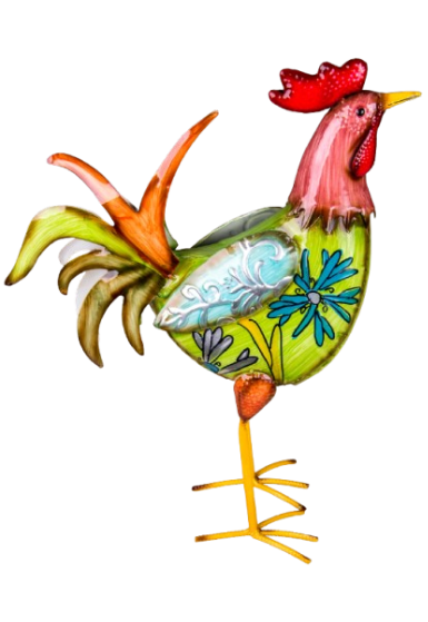 Poultry Rooster Large