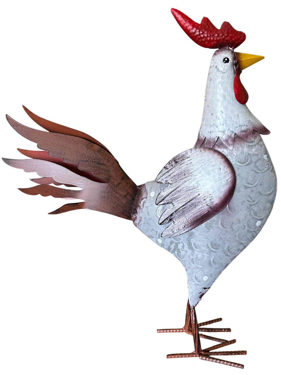 Poultry Rooster White