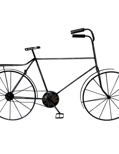 Metal-Bicycle_two-Wheel-Black