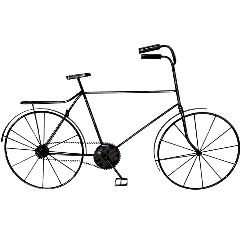 Metal-Bicycle_two-Wheel-Black