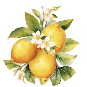 Potstand:  Fresh Lemons - NEW