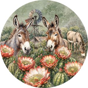 Potstand:  Donkeys & Proteas